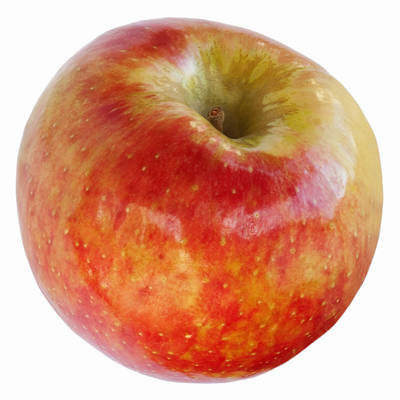 Honeycrisp